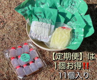 冷凍ソムタム10個セット